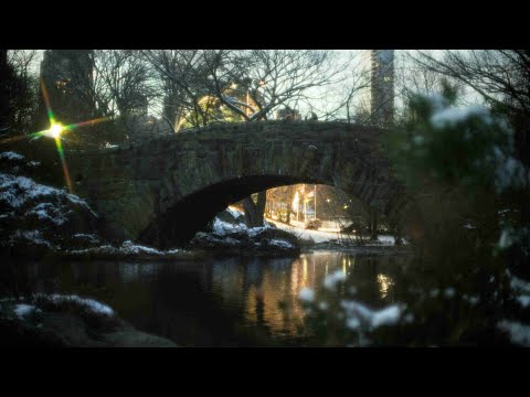 New Directors/New Films 2014 | Trailer