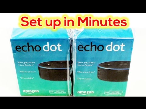 Amazon Echo DOT - Set up in FIVE MINUTES, it's EASY