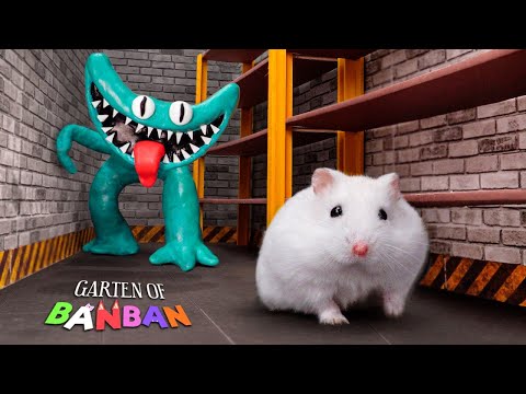 Hamster Escape From Cyan Monster In Garten Of Ban Ban 🐹 Hamster Maze In Real Life