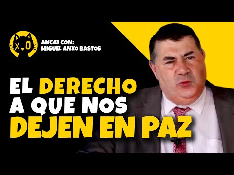 Positive vs. Negative Rights / How Do We Understand Freedom? Miguel Anxo Bastos