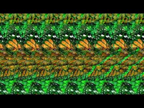 [10] 3D Stereogram / Magic Eye