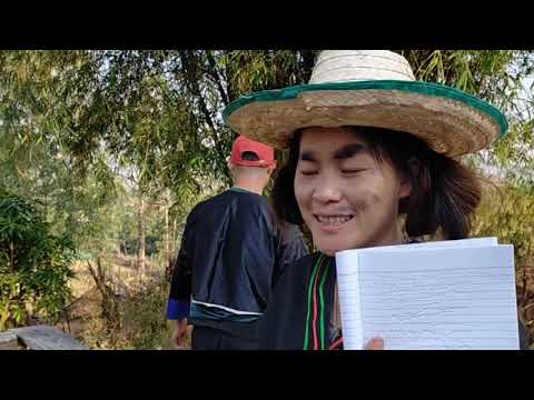 Qhaub Noom Quav Ntswg Qab Tshaj 24/12/2019