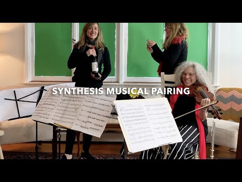 Vivaldi Four Seasons in 4 minutes - by SYNTHESIS feat Alicia Svigals (violin)
