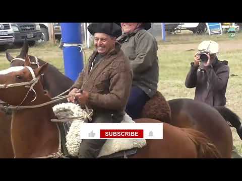 Tirada de Riendas, 5° Fiesta del Animador 2025 - Gobernador Costa, Chubut.