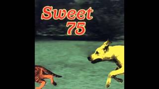 Cover art for Sweet 75