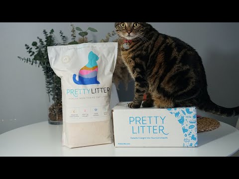 PrettyLitter Cat Litter Review - Say Goodbye to Mess...