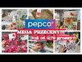 PEPCO MEGA PRZECENY JUŻ OD 0 70 Groszy