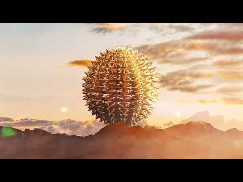 Diviners & Level 8 - Guide You Home