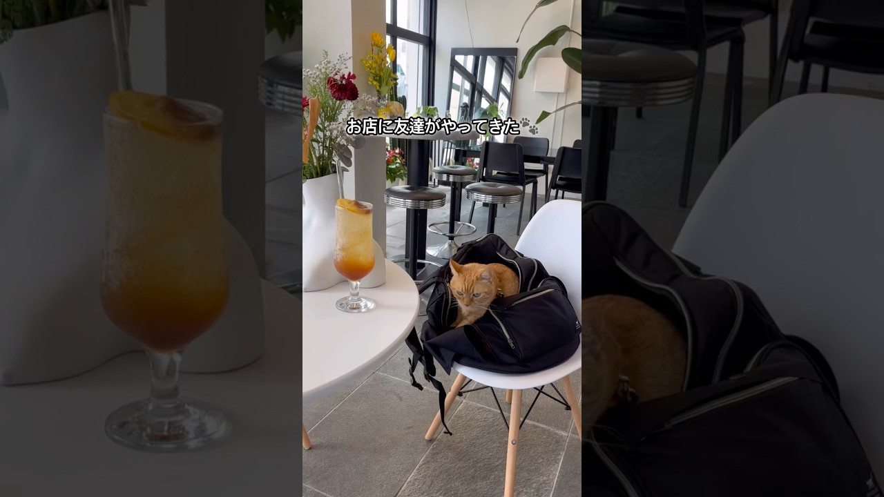 ふーちゃん初来店で予想外の展開!?