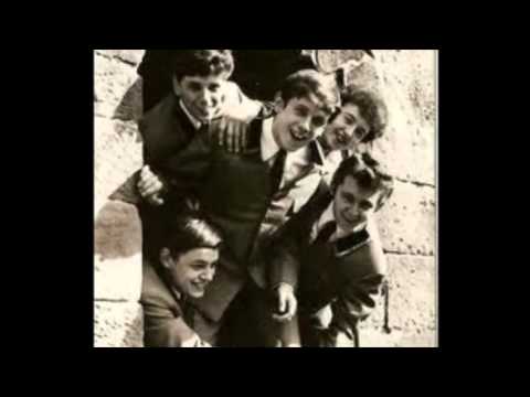 Denny Seyton & The Sabres - Needles And Pins