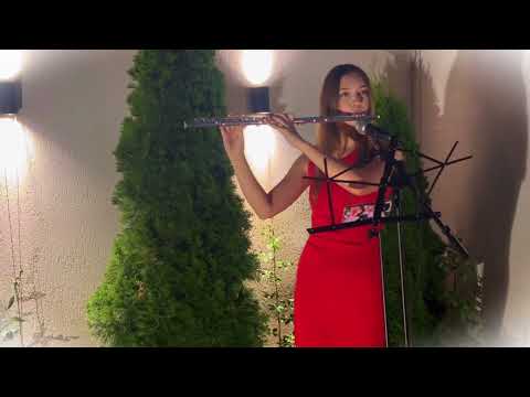 Ariana Luncanu-Beauty and the Beast( flute cover)