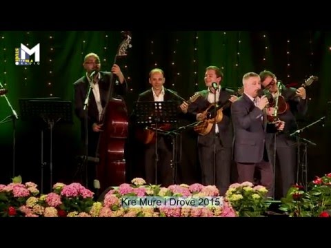 Rajko Suhodolčan i Vinski Brati - Splet pjesama (festival Kre Mure i Drove, Prelog 2015.)