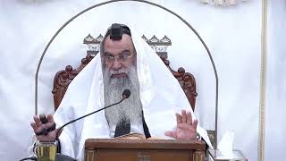 הרב ישי פרי שליט״א |שיעור אור החיים | פרשת אמור תשפ״ו
