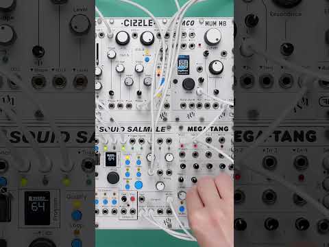 Video: ALM Busy Circuits Squid Salmple (1)