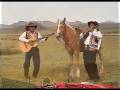 LOS PONCHOS ROJOS DE ESPINAR   CABALLO BAYO