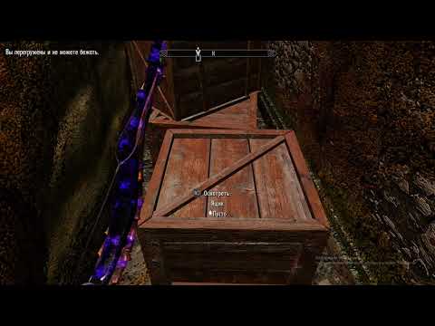 Miniature de la vidéo