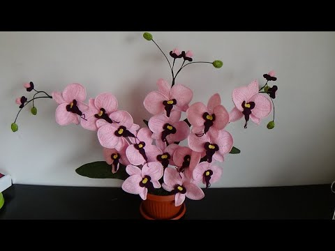 Orhidee crosetata-petale-partea I