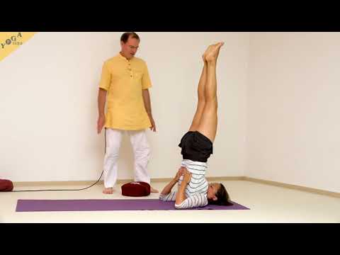 Gerader Schulterstand - Yoga Asana Lexikon