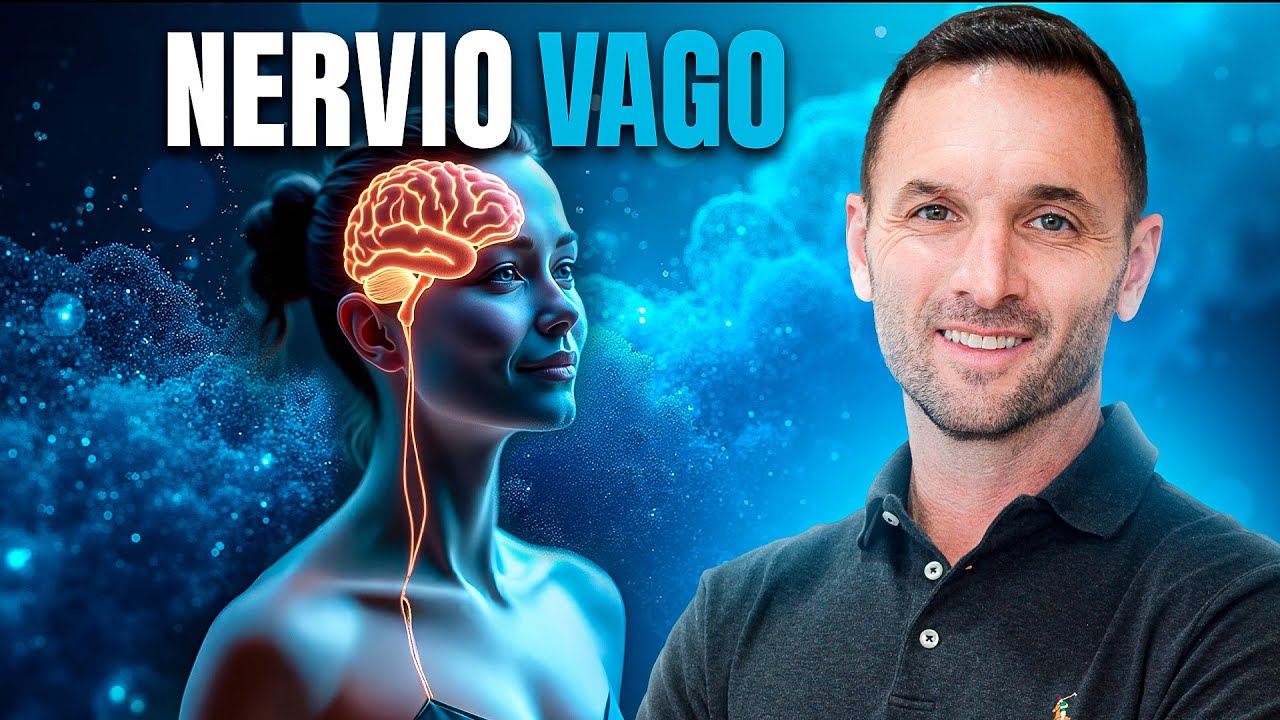 The Power of the Vagus Nerve: Learn How to Activate It to Improve Your Health