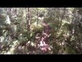 AC DC trail 