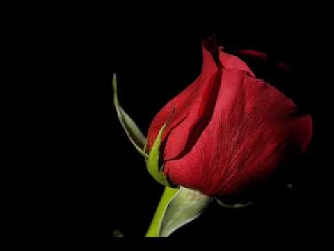 Adnan Orhan Yaram Çok Derin