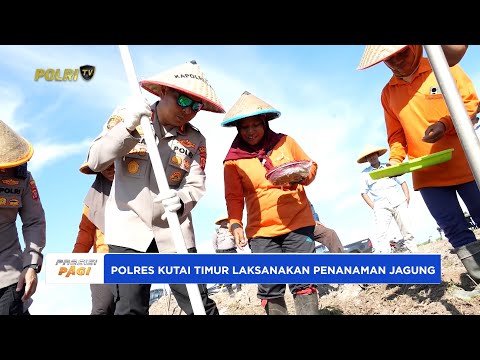 POLRES KUTIM DAN DSN GROUP LAKSANAKAN TANAM JAGUNG DUKUNG SWASEMBADA PANGAN NASIONAL