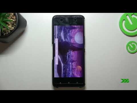 3DMark Wild Life Benchmark on Asus ROG Phone 6 – Performance Checkup