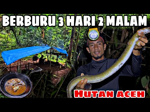 FISHING ADVANTURE 3 HARI 2 MALAM || HUTAN ACEH || TIBA-TIBA BANJIR …