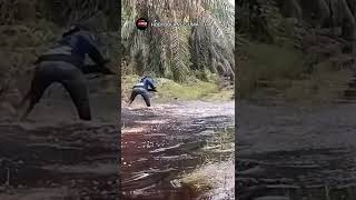 Download lagu Panik umpan lele ku di hantam toman jumbo #shorts #videoshorts mp3