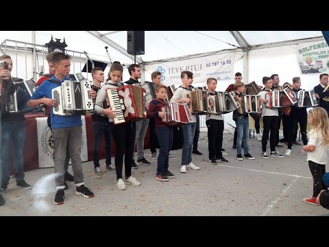 Harmonikarski orkester Siniše Čeha