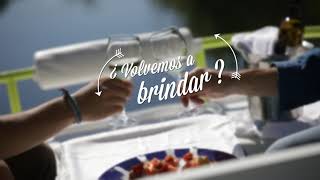 VOLVEMOS A BRINDAR? | Ruta del Vino del Ribeiro Trailer