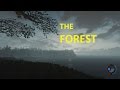 The Forest - v0.40 Update - Armsy EXPLOSION! The Forest - v0.40 Update - Armsy EXPLOSION!