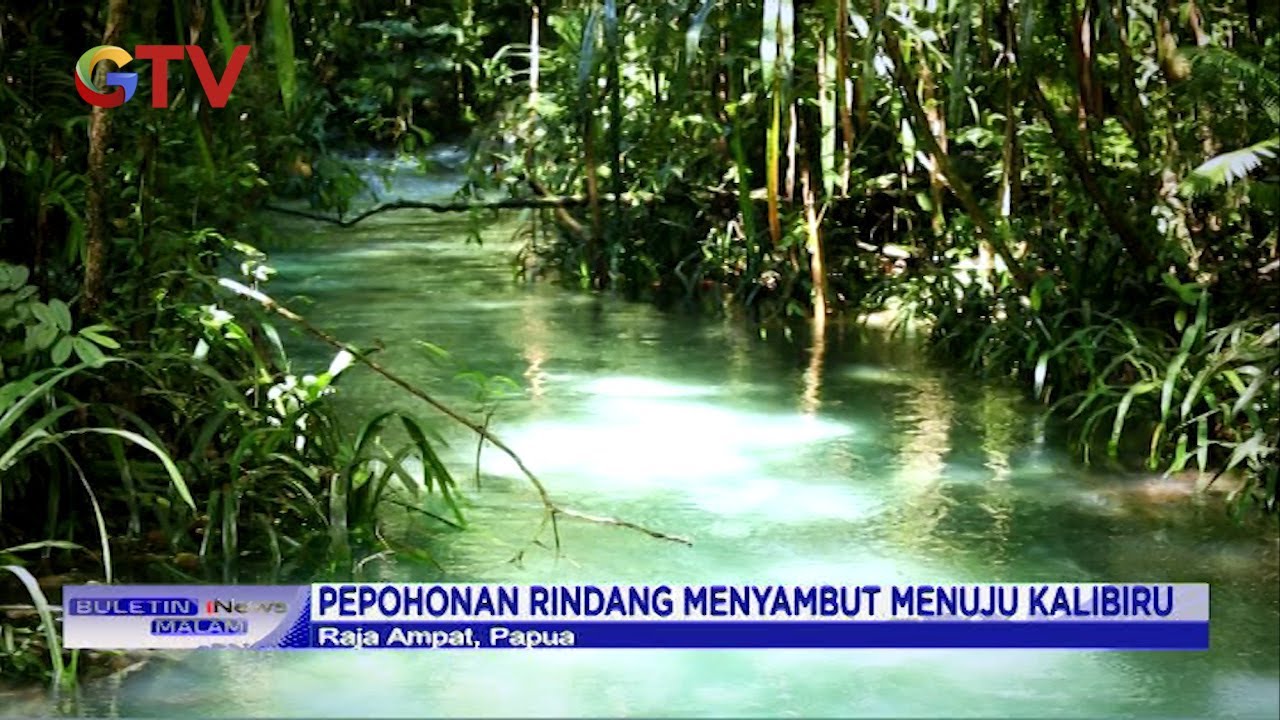 Pesona Indahnya Kalibiru, Sungai Jernih di Raja Ampat - BIM 27/07