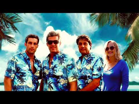 Surf’s up beach boys tribute band