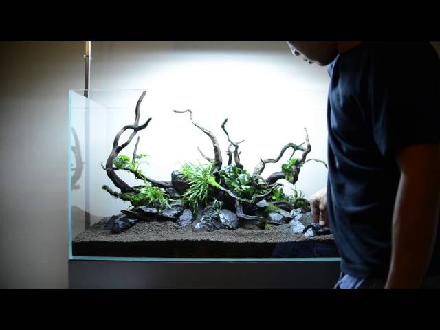 Step by step aquascape time lapse: Aqueous Reflection 90cm Aquavas