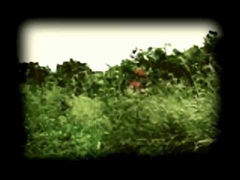 De Fiev Söhns / Fünf Söhne / Ich hebbe se nich up de Scholen gebracht (Lied aus Friesland)