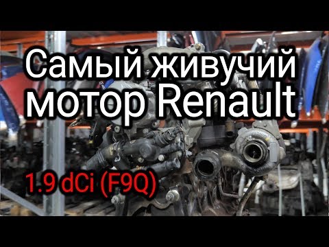 Надежный или неудачный? Разбираем все проблемы дизеля Renault 1.9 dCi (F9Q)