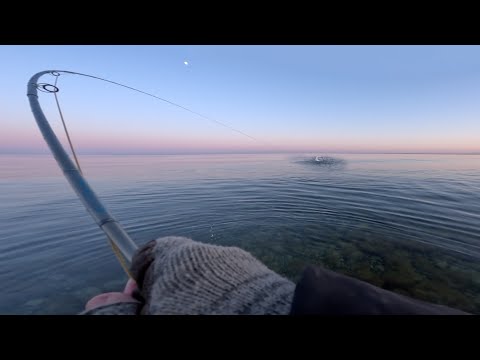 Dead Flat Surface and Picky Rising Sea Trout on the Coast