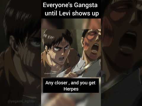 Everyone's Gangsta until Levi shows up