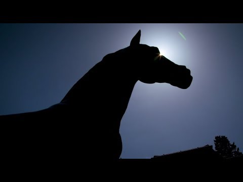 LGCT Madrid 2018 Highlights