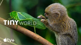 Tiny World — Official Trailer l Apple TV+