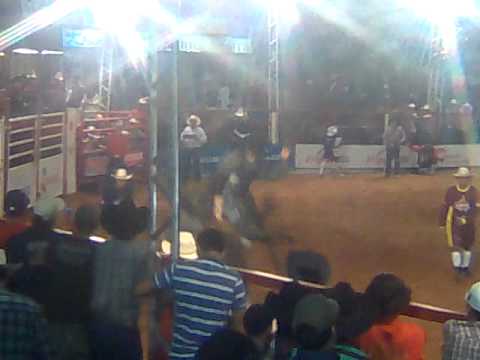 RODEIO COLORADO-PR TOURO 2011