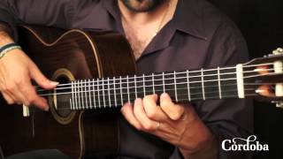 Video thumbnail for Cordoba Guitars - Fusion 14 Rose by Cordoba Guitars