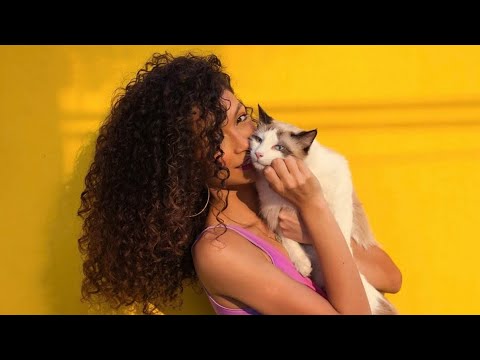 Domnișoara cu Pisică | Am și eu o pisicuță | Pisicuță Pis-Pis-Pis! versuri și creație @respirpoezie 