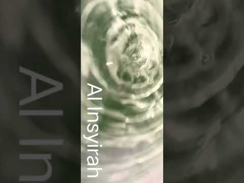 Al Insyirah Makam Ajam Jiharkah style