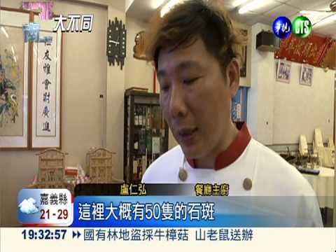 砂鍋魚頭.膠原奶酪 石斑創意10吃