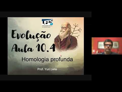 Aula 10.4. Homologia profunda