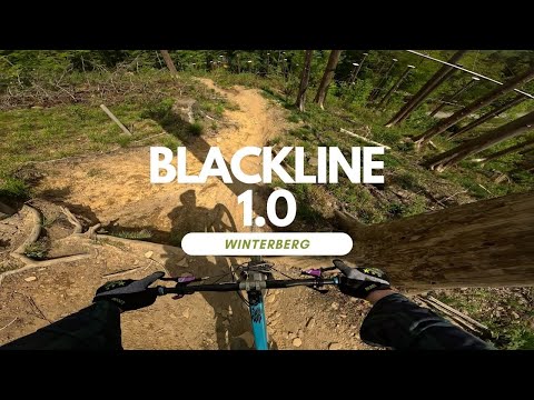 Blackline 1.0 ⚫️ Bikepark Winterberg Trail Review ganze Strecke Full Run POV RAW