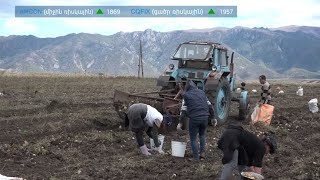 Ինդեքս 26.01.2021
