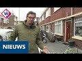 Mis je een boom in je tuin? Je krijgt er een gratis van de gemeente Den Haag - OMROEP WEST